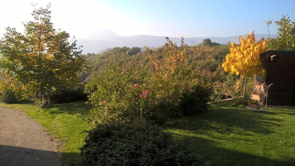 Da Andrea E Raffaella Guest House Sant'Anna d'Alfaedo ภายนอก รูปภาพ